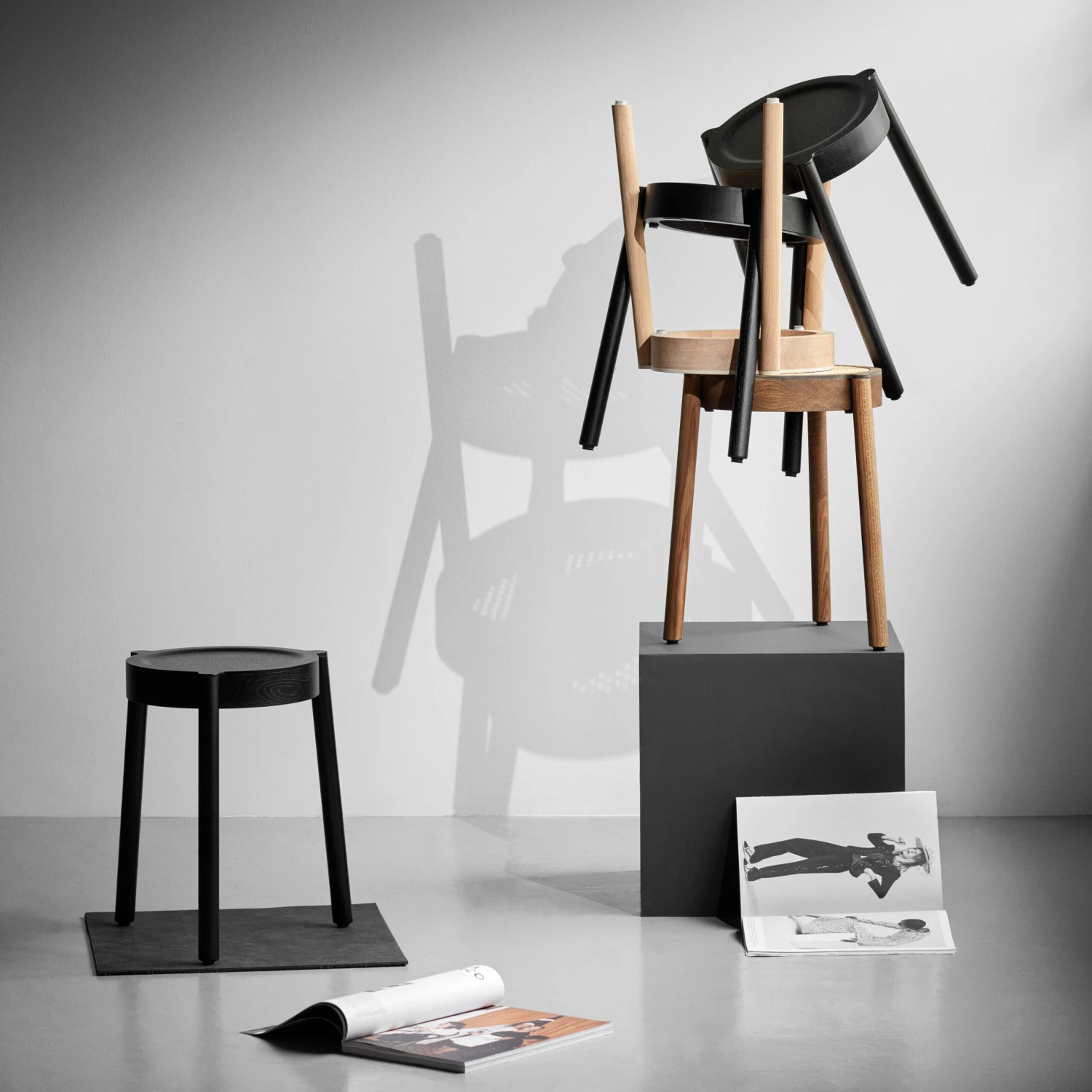 Northern Pal Jakkara - Image 2