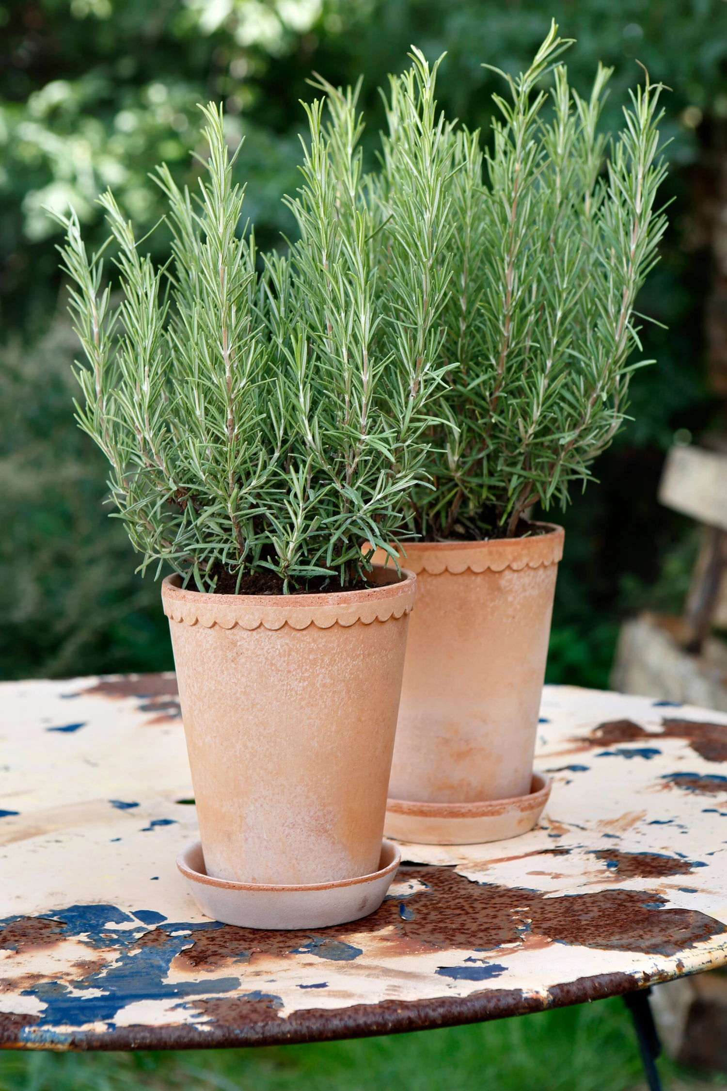 Bergs Potter Helena Ruukku Korkea Ø 14 Cm - Image 2