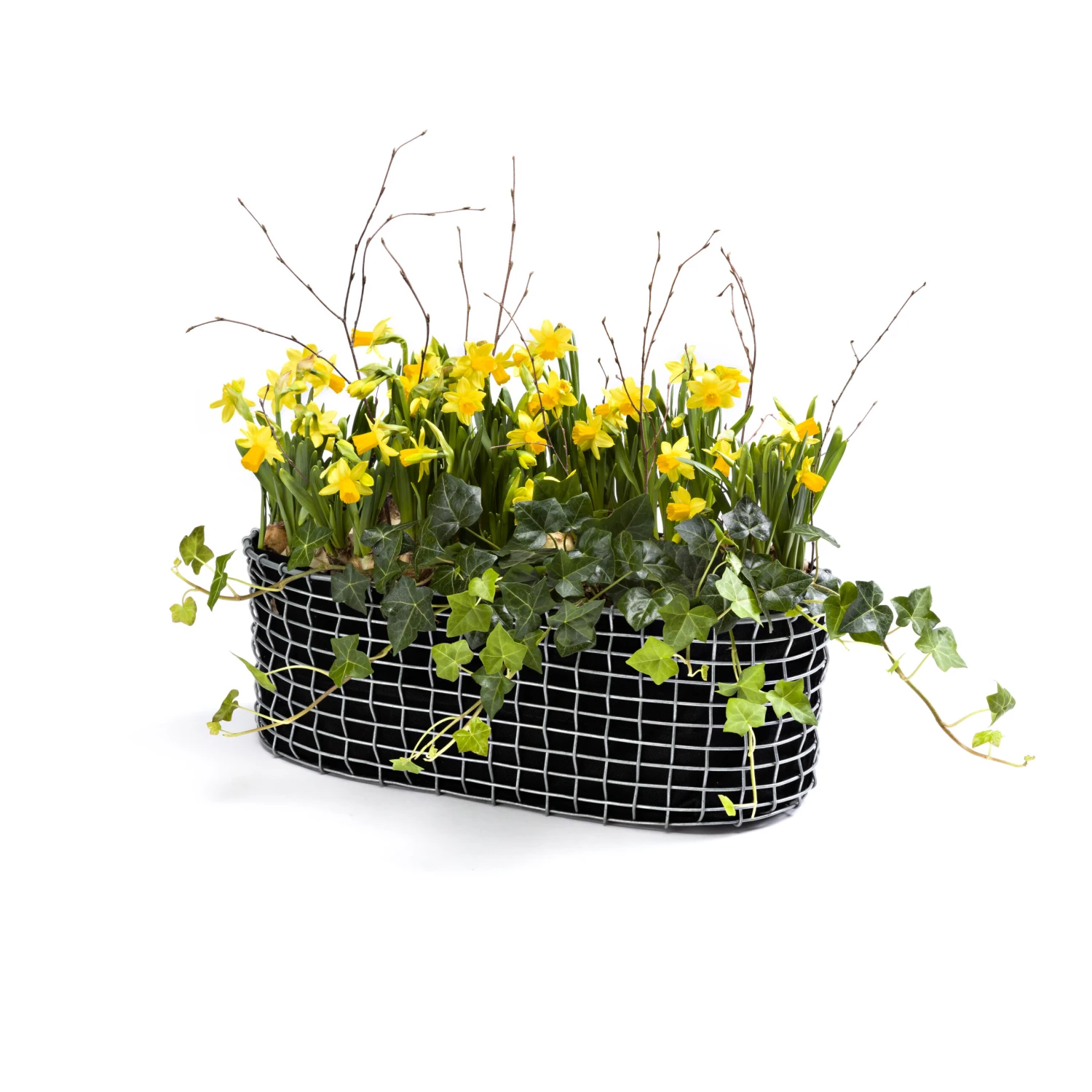 Korbo Parvekekori - Image 6